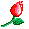 1004[1].gif